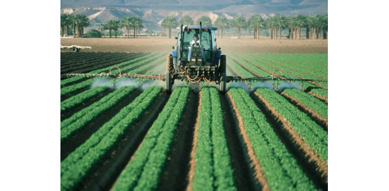 Tractor spraying pesticides on a field of crops