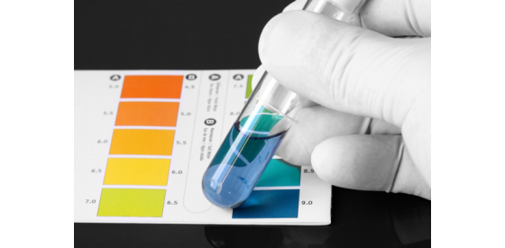 scientist testing the pH of water using pH strips