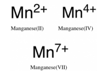 Manganese in Drinking Water — Water Library | Acorn Water