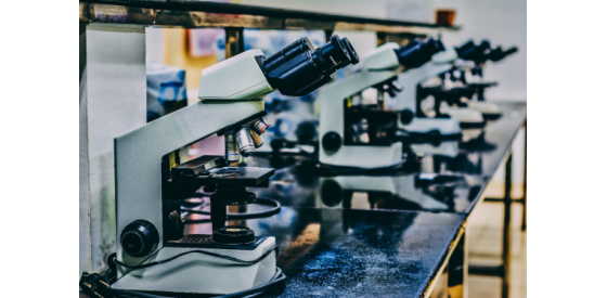 Row of microscopes on a lab bench that can be used to help look at microorganisms