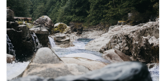 stream in a forest with large gray rocks and rapids