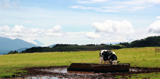 Agricultural Wastewater Analysis