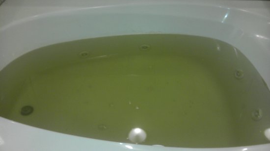 Green water in a bathtub