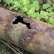 rusted pipe