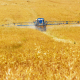 tractor spreading fertilizer